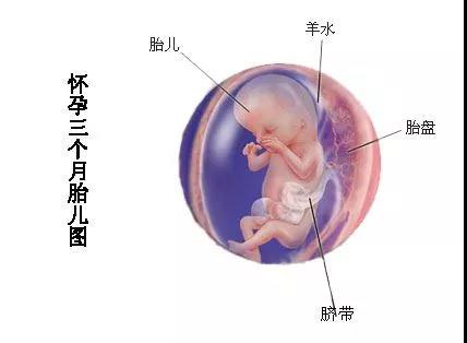 微信图片_20180326102851.jpg