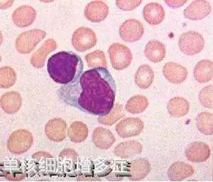 微信图片_20180627155020.jpg