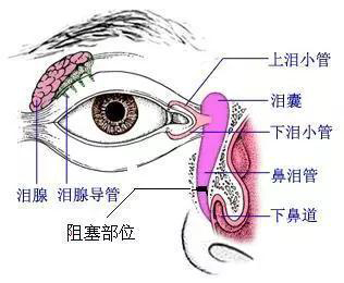 微信图片_20190118133149.jpg