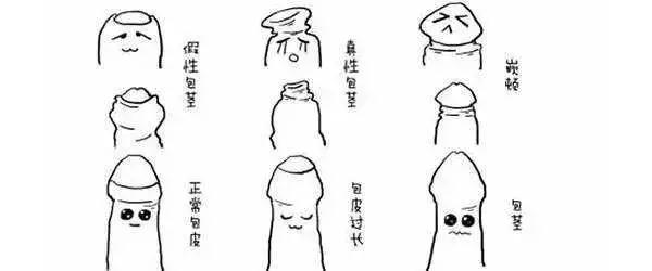 微信图片_20190201133039.gif