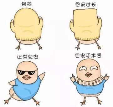 微信图片_20190201133049.gif