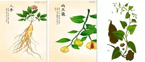 微信图片_20190308101257.jpg