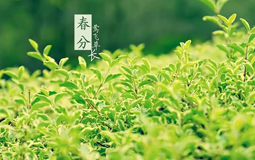 微信图片_20190315115535.jpg