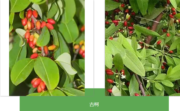 未标题-3.jpg