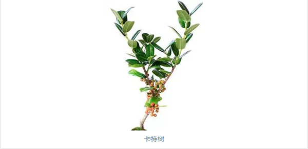 未标题-4.jpg