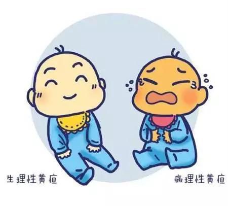 微信图片_20190510150251.jpg