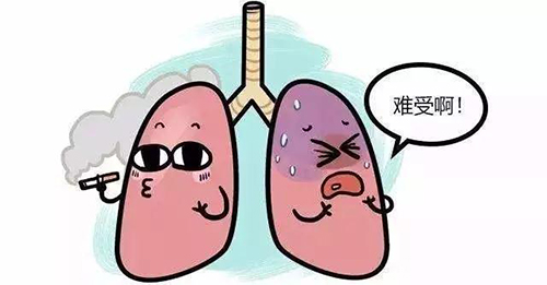 微信图片_20190529155246.jpg