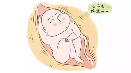 微信图片_20190626173758.png