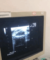 微信图片_20190719132058.gif