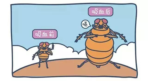 微信图片_20190726133041.jpg
