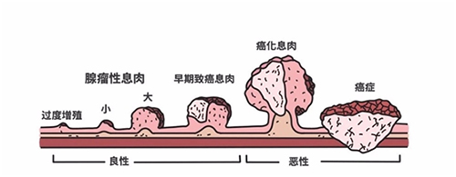 微信图片_20190823133106.jpg