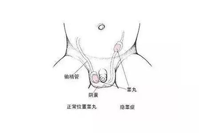 微信图片_20190909172926.jpg
