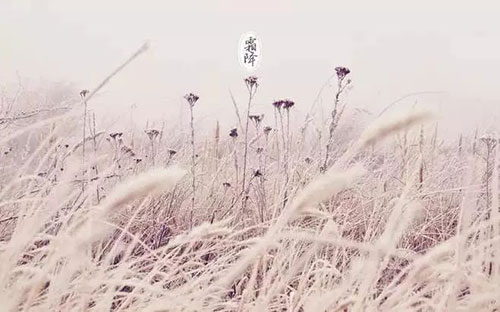 微信图片_20191025102815.jpg