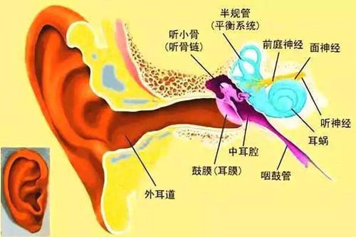微信图片_20191115112930.jpg