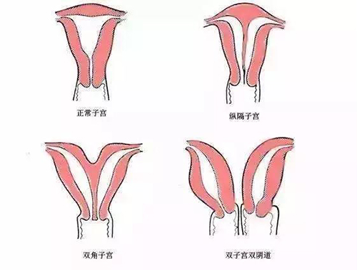 微信图片_20191206131413.jpg