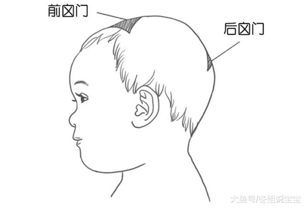 微信图片_20200103100855.jpg