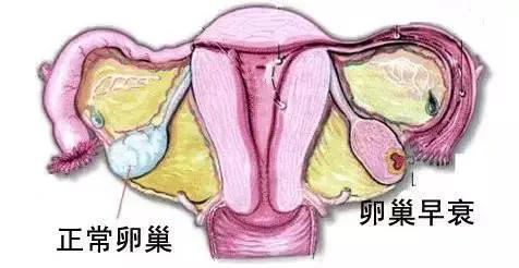 微信图片_20200806150837.jpg
