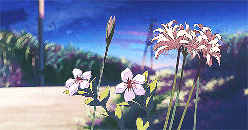 微信图片_20200818145140.gif