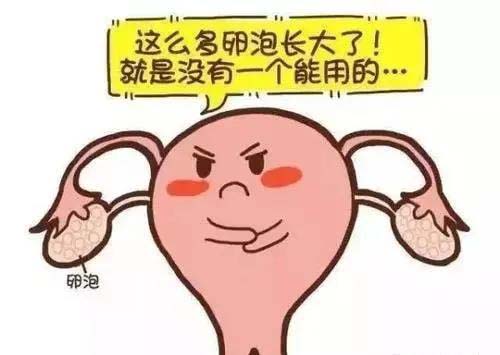 微信图片_20200904100557.jpg