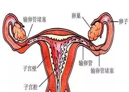 微信图片_20201023110456.jpg