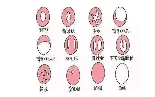 微信图片_20201221145823.jpg
