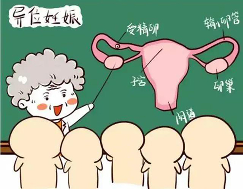 微信图片_20210129095222.jpg