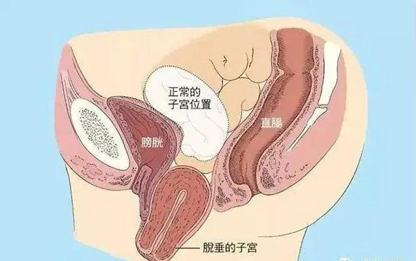 微信图片_20210205101523.jpg