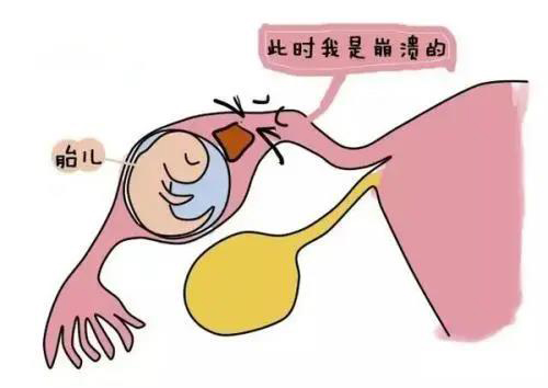 微信图片_20210604100603.jpg