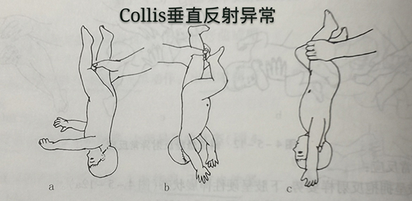 图片6.jpg