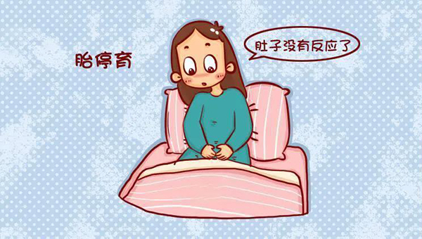 微信图片_20211015114149.jpg