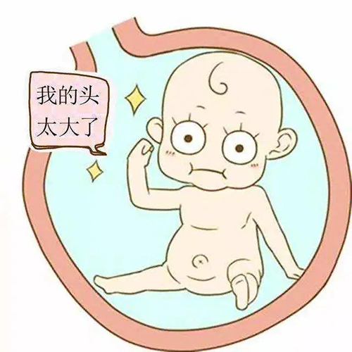 微信图片_20211125094427.jpg