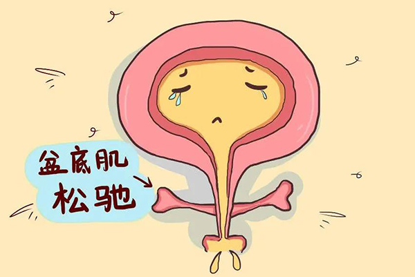 微信图片_20211217104614.jpg