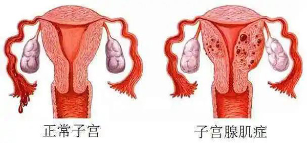 微信图片_20220211092659.jpg