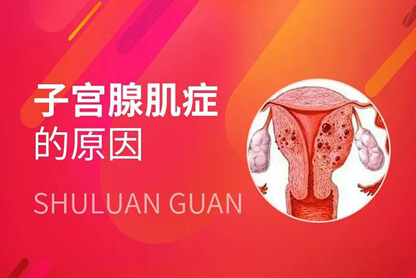 微信图片_20220211092703.jpg