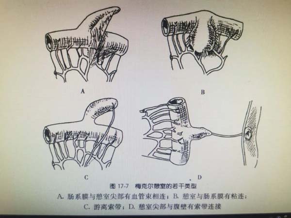 微信图片_20220311094540.jpg