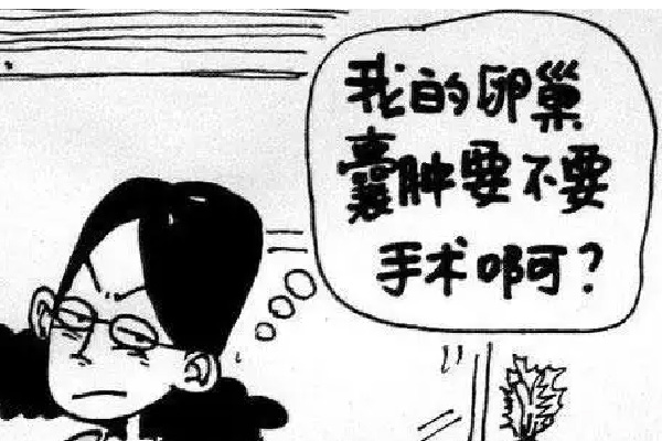 微信图片_20220610104218.jpg