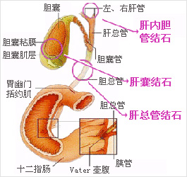 图片11.jpg