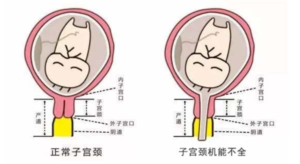 微信图片_20220812095627.jpg
