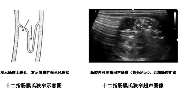 微信图片_20220818150307.jpg