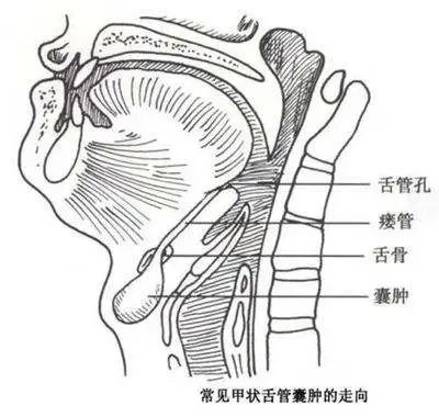 微信图片_20220902151340.jpg