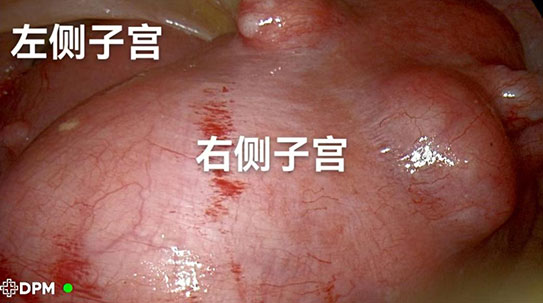 微信图片_20220916111635.jpg