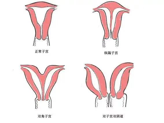 微信图片_20220916111641.jpg