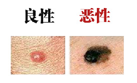 微信图片_20221117161058.jpg