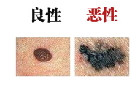 微信图片_20221117161100.jpg