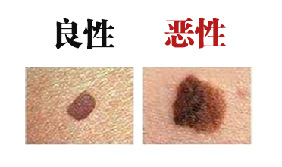 微信图片_20221117161107.jpg