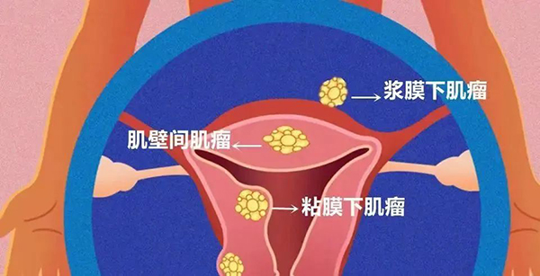 微信图片_20230203111712.jpg