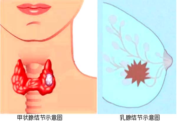 微信图片_20230214143258.jpg