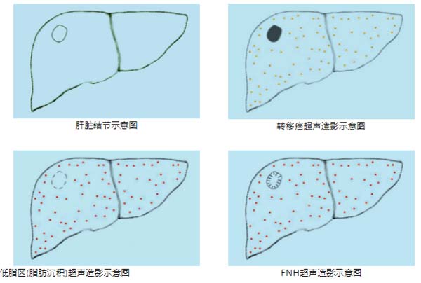 QQ截图20230217102642.jpg