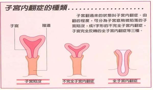 微信图片_20230217102712.jpg