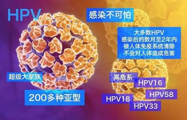 微信图片_20230223110605.jpg